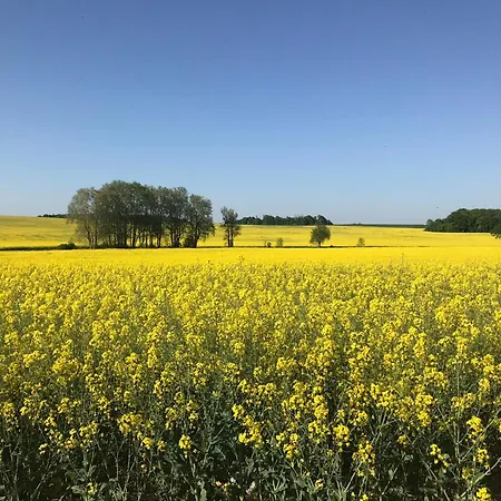 Hébergement de vacances Dans Corps De Ferme Renove